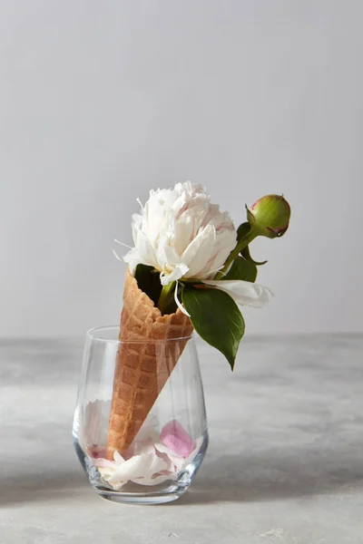 Vaso Vidro Com Peônia Branca Cone Waffle — Fotografia de Stock