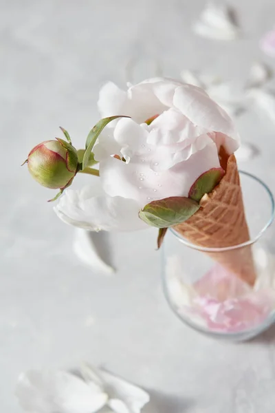 Vaso Vidro Com Peônia Branca Cone Waffle — Fotografia de Stock