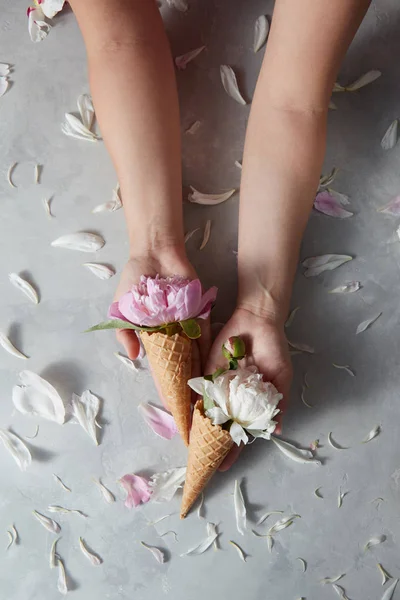 繊細なピンクと白の牡丹の花 コンクリートの灰色の背景とウェーハの円錐形を保持している女性の手 — ストック写真