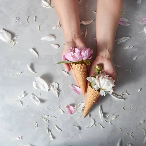 Manos Femeninas Sosteniendo Conos Oblea Con Delicadas Flores Peonía Rosa — Foto de Stock