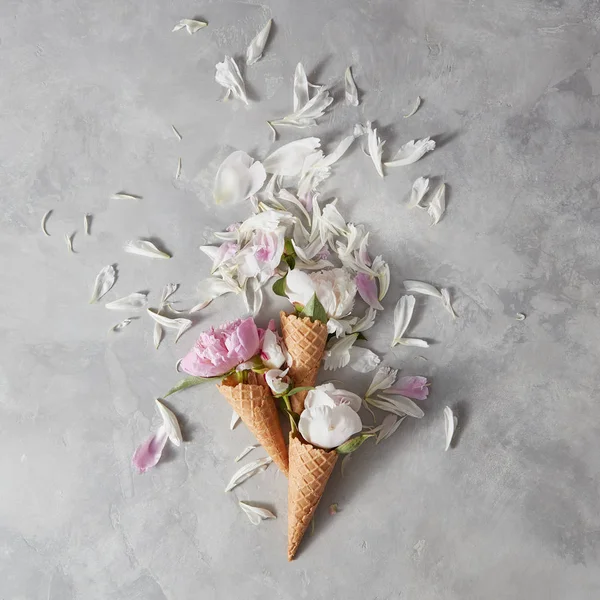 Narin Pembe Beyaz Şakayık Çiçekleri Yaprakları Üzerine Gri Taş Masada — Stok fotoğraf