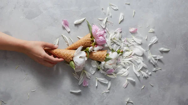 Mão Feminina Segurando Cones Wafer Com Delicadas Flores Peônia Rosa — Fotografia de Stock