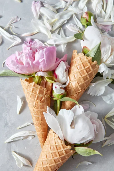 Delicadas Flores Peônia Rosa Branca Cones Bolacha Mesa Pedra Cinza — Fotografia de Stock