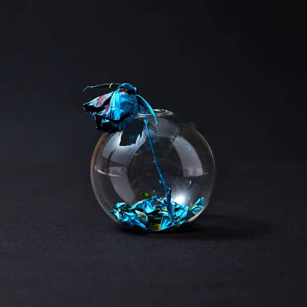 ガラスの花瓶の青い絵の具で塗装乾燥ローズ — ストック写真