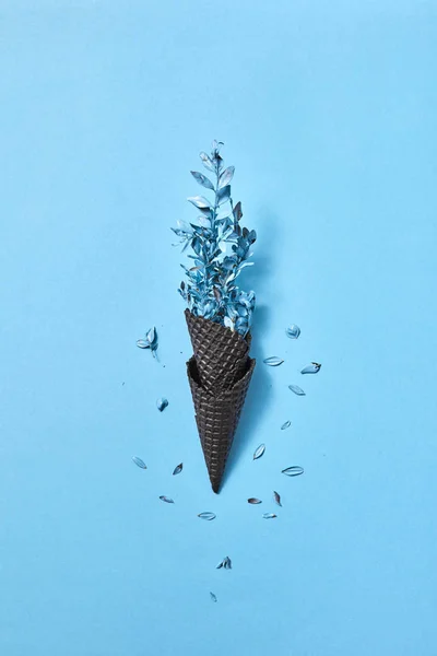 Ramo Cones Wafer Preto Com Pequenas Pétalas Fundo Azul — Fotografia de Stock