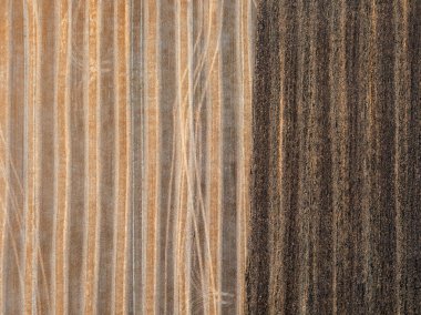 Hasat ve alanın sonra tarımsal alan sarı siyah renklerini işlerinde Ekim altında sürülmüş. Uçan droning üzerinden üstten görünüm.