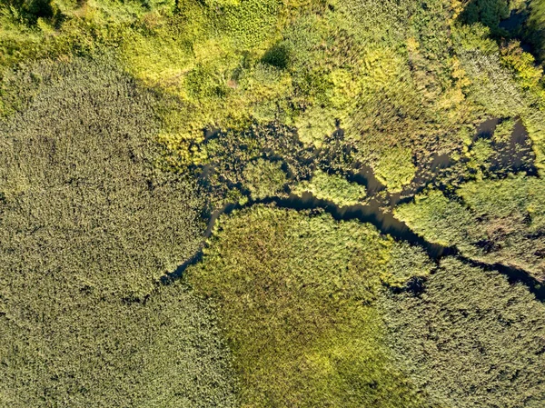 Paisagismo Incrível Com Campos Verdes Cabeça Primavera Rio Árvores Verdes — Fotografia de Stock