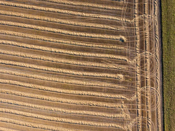 Von Fliegenden Drohnen Auf Ein Landwirtschaftliches Feld Nach Der Weizenernte — Stockfoto