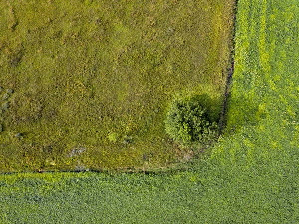 Streszczenie Tło Geometrycznych Rolnych Pól Oddzielonych Brudne Szlak Bush Letni — Zdjęcie stockowe