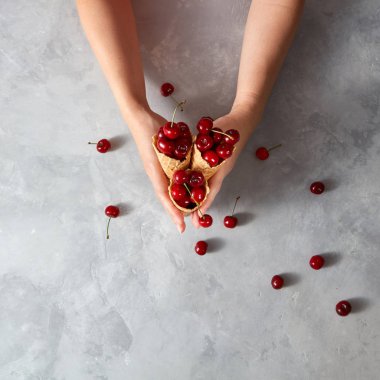 Eller üç gofret bardak kırmızı tatlı çilek ile kiraz ev yapımı dondurma yemeye gri taş arka yukarıda tut, metin altında yerleştirin. Üstten görünüm. Vejetaryen çiğ gıda.