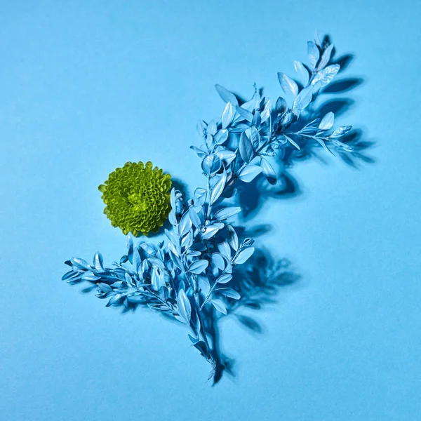 Cartão Saudação Com Ramo Azul Folha Flor Verde Fundo Azul — Fotografia de Stock