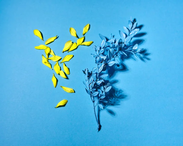 Küçük Sarı Çiçek Kompozisyon Yaprakları Çiçekler Mavi Metin Için Bir — Stok fotoğraf