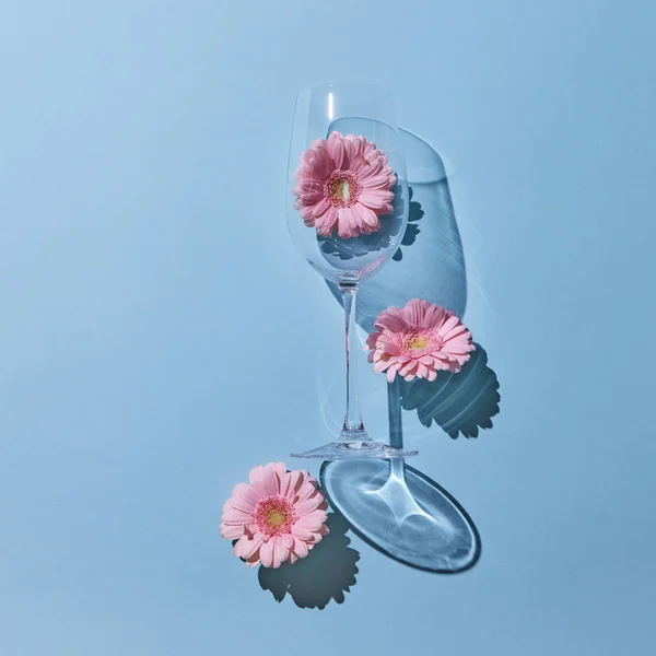 Bella Composizione Fiore Gerbera Rosa Bicchiere Uno Sfondo Blu Con — Foto Stock