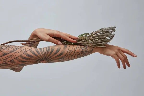 Гілка Квітів Прикрашає Жіночу Руку Татуюванням Навколо Сірого Фону Копіювальним — стокове фото
