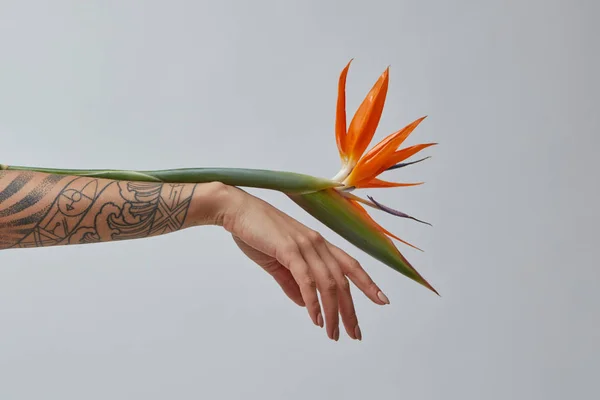 Una Mano Femminile Con Tatuaggio Decorato Con Colorato Fiore Arancio — Foto Stock