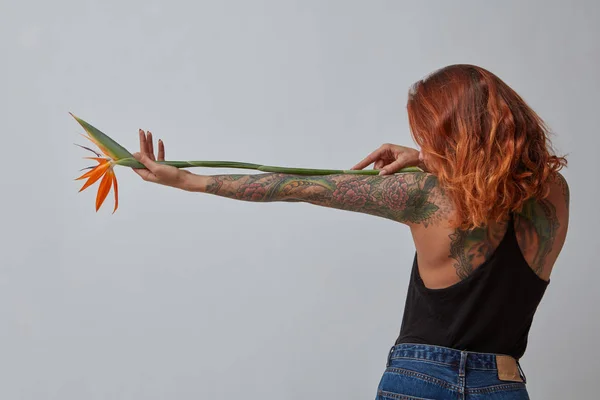 Élégante Fille Aux Cheveux Roux Avec Tatouage Dos Tient Une — Photo