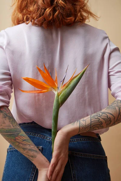 Mulher sexy com tatuagem segurando uma flor de strelitzia em um fundo azul  com espaço de cópia