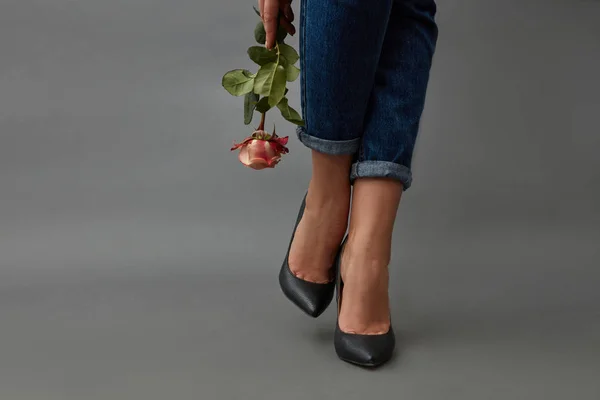 Mão Uma Menina Elegante Uma Rosa Rosa Pernas Uma Menina — Fotografia de Stock