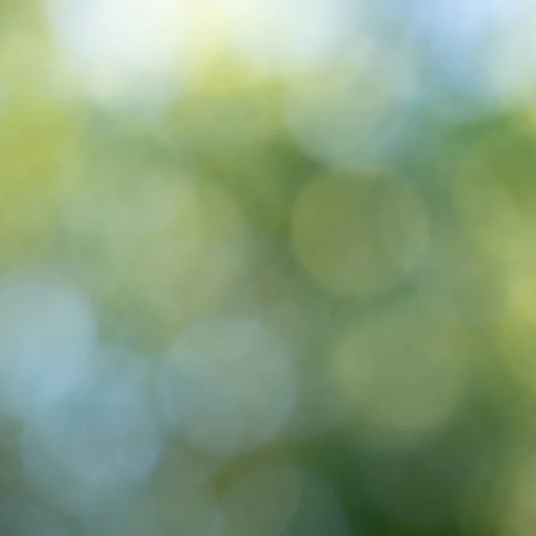 Geel Blauw Bokeh Cirkels Een Wazig Natuurlijke Groene Achtergrond Mooie — Stockfoto