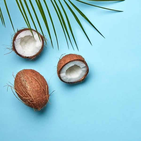Całości Połówki Orzecha Kokosowego Liści Palmy Niebieskim Tle Kopię Miejsca — Zdjęcie stockowe