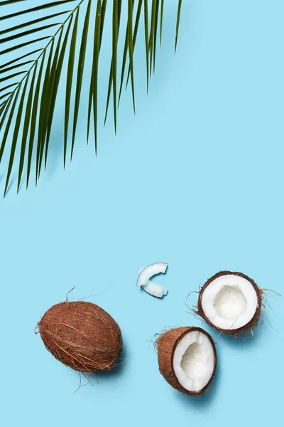 코코넛 배경에 텍스트 공간을 복사합니다 구성입니다 — 스톡 사진
