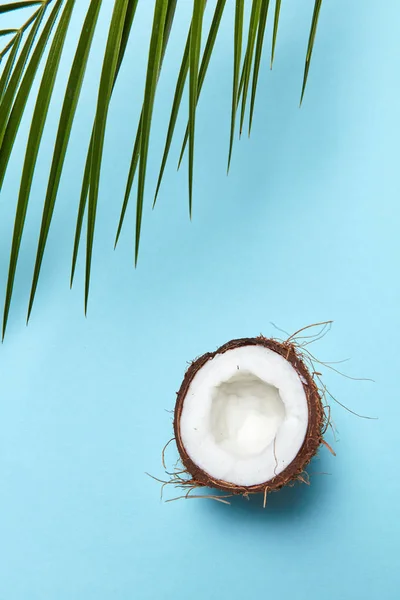 Uma Metade Fresca Coco Orgânico Uma Folha Palma Sobre Fundo — Fotografia de Stock