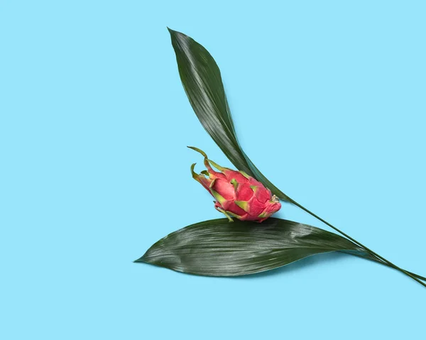Σύνθεση Μορφή Της Ένα Κόκκινο Λουλούδι Από Ένα Εξωτικό Φρούτο — Φωτογραφία Αρχείου