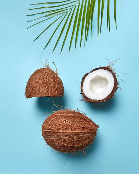 Sammansättning Från Kokosnöt Och Palm Leaf Form Ett Ansikte Med — Stockfoto