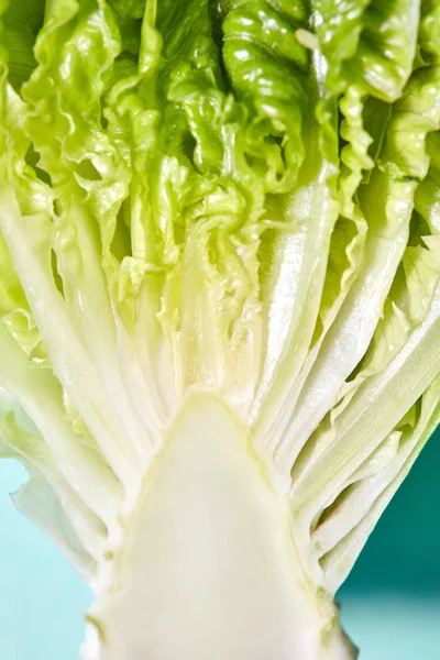 Foto Macro Metades Verdes Frescas Repolho Fundo Azul Alimentação Saudável — Fotografia de Stock