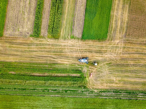 Coltivazione Del Terreno Agricolo Dopo Raccolta Preparazione Del Terreno Semina — Foto Stock