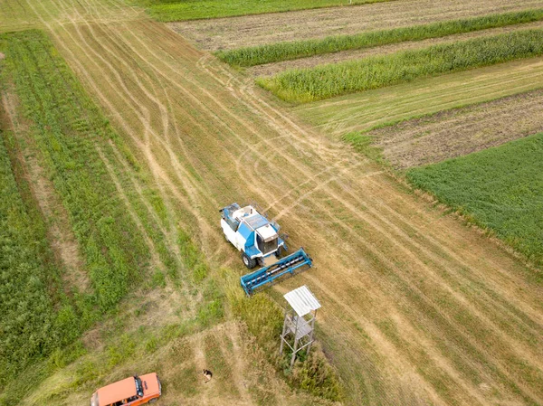 Vista Volo Uccello Arare Terreno Dopo Raccolta Sul Campo Estate — Foto Stock