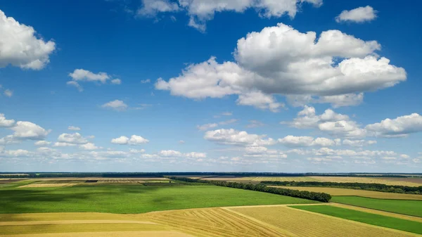 Panoramisch Uitzicht Vanaf Het Gedreun Van Prachtige Landschap Met Groen — Stockfoto