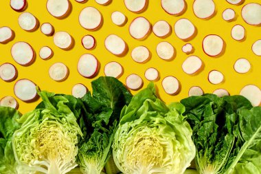Taze doğal maddeler doğal vejetaryen sağlıklı yiyecekler - desen turp dilimleri, Iceberg marul, kıvırcık sarı bir arka plan üzerinde yemek pişirmek için. Üstten görünüm. Sağlıklı diyet gıda kavramı.