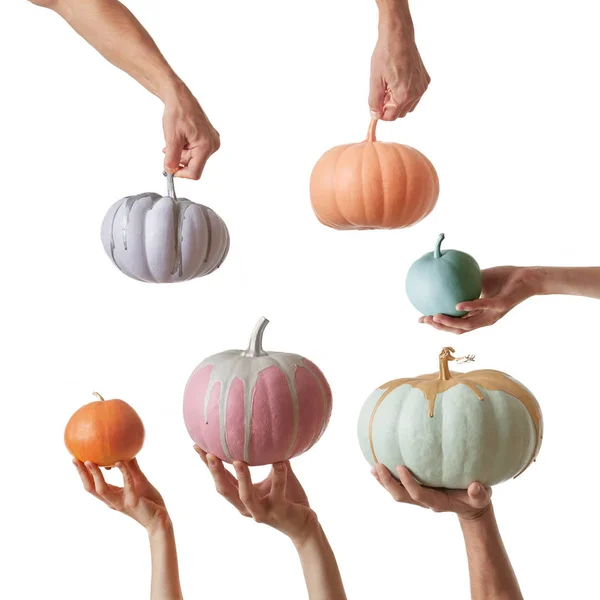 Many Hands Holding Decorative Craft Painted Pumpkins Various Colors White — Stock Photo, Image