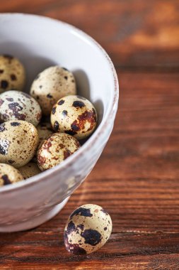 Metin için yer bir ahşap kahverengi masada beyaz bir kase içinde sağlıklı taze bıldırcın yumurtası. Üstten görünüm