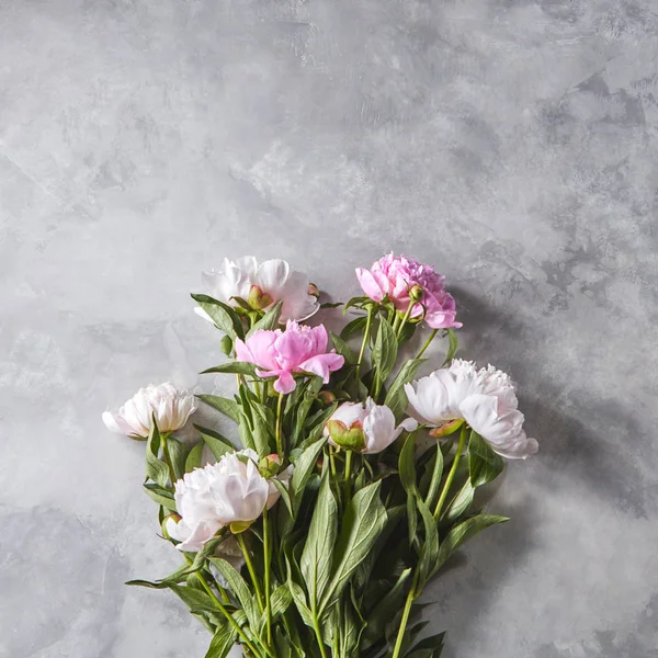 Bouquet Beautiful Pink Peony Buds Gray Concrete Background Copy Space — Stock Photo, Image