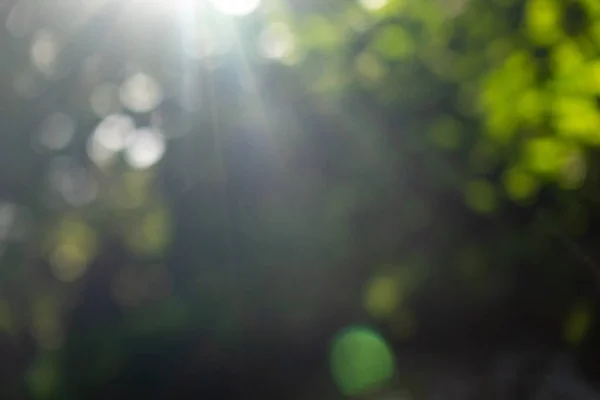 Mooie Natuurlijke Wazig Bokeh Achtergrond Met Felle Zonnestralen Groene Zomertuin — Stockfoto