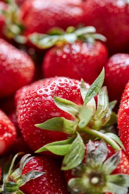 Sulu kırmızı çilek çilek yeşil saplı closeup. Organik sağlıklı gıda.
