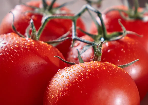 Macro Foto Tomates Orgánicos Tallo Con Gotas Agua Pura Vitamina —  Fotos de Stock