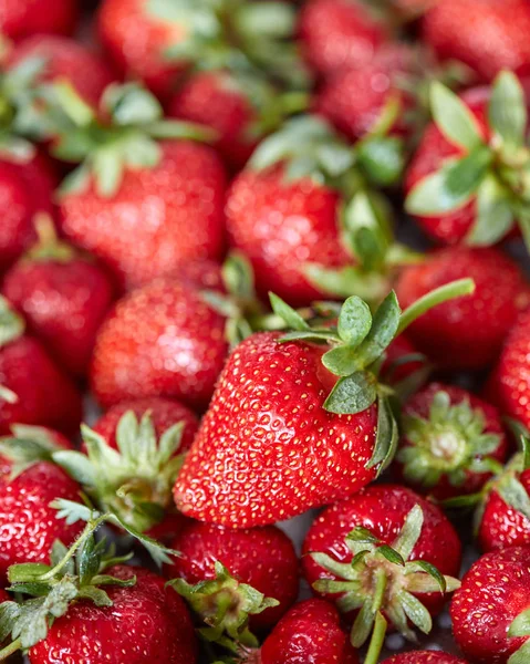 Dojrzałe Truskawki Zielonych Liści Organiczne Świeżo Zerwanych Berry Zdrowe Tło — Zdjęcie stockowe