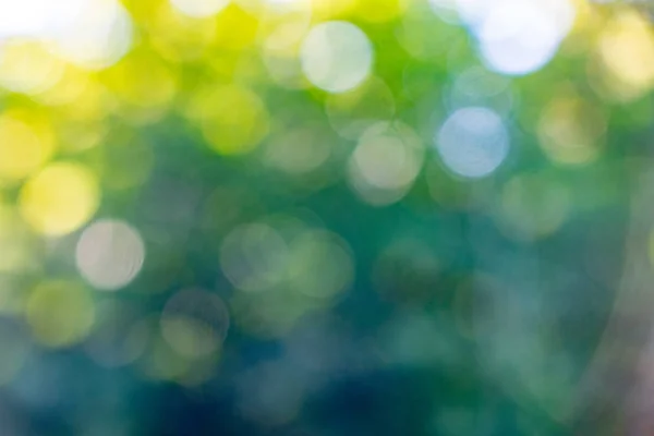 Verschwommenes Grünes Laub Mit Sonnenlicht Natürlicher Hintergrund Mit Gelben Bokeh — Stockfoto