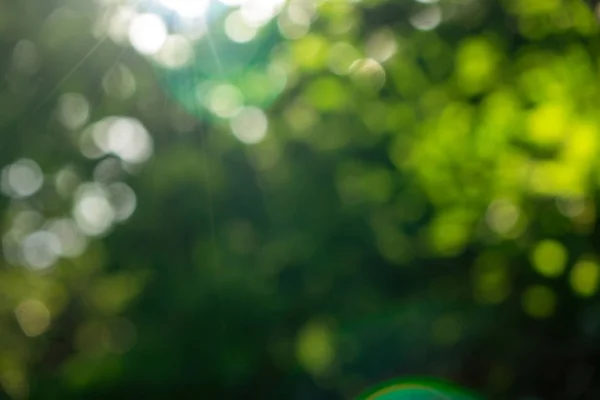 Bokeh Effect Een Onscherpe Groene Natuurlijke Achtergrond Een Zonnige Zomerdag — Stockfoto