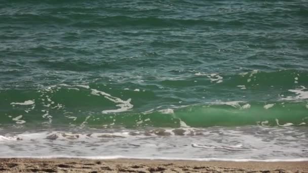 Gyönyörű Nyári Seascape Hullámok Madarak Kis Csónakok Puha Felhős — Stock videók