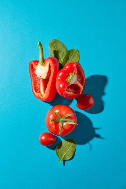 Taze sebze biber ayarla, domates ıspanak yaprakları ve kopya alanı ile mavi bir arka plan üzerinde. Sağlıklı sebze salatası için. Düz yatıyordu