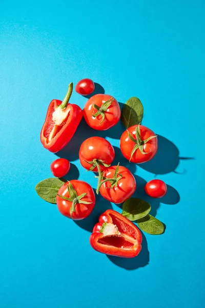 Połówki Czerwonej Papryki Soczystymi Pomidorami Szpinakiem Pozostawia Cienia Refleksji Niebieskim — Zdjęcie stockowe