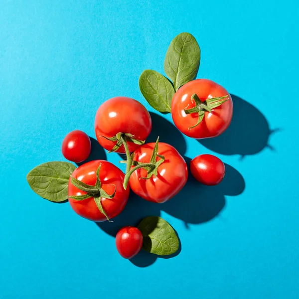 Verse Spinazie Bladeren Sappige Rijpe Tomaten Een Blauwe Achtergrond Met — Stockfoto