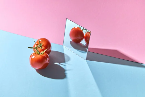 Pomodori Succosi Con Gambo Sono Riflessi Uno Sfondo Cartone Rosa — Foto Stock