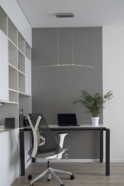 İş yerinde doğal lambalarıdır ofisteki iyi-disigned ergonomi. Modern yeni siyah dizüstü bilgisayar, Ofis donanımı, bir tabloda yeşil saksı.