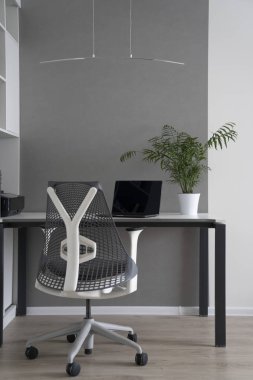 Şirket ofis köşede bir modern masası, ortopedik sandalye, güncel bilgisayar ve yeşil saksı ile bir tablo. . Yeşil iş ofis kavramı.