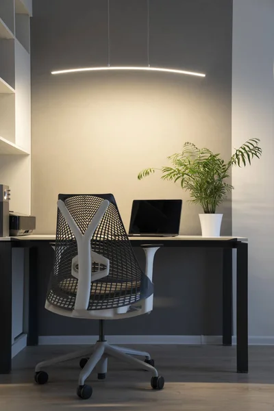Modern laptop and office equipment on a table and shalves. Office interior - orthopaedic chair, white furniture and greenery pot on a desk with artificial lighting.